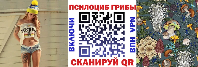 ссылка на мегу онион  Кизел  Псилоцибиновые грибы Magic Shrooms 